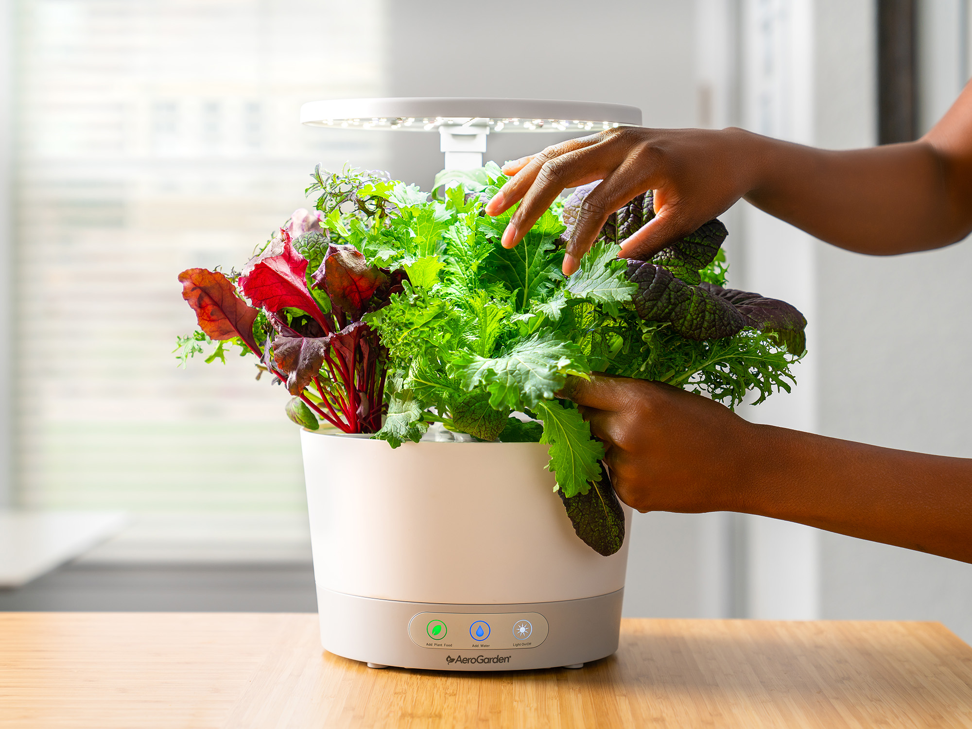 AeroGarden